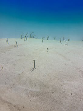 アクアワールド茨城県大洗水族館に投稿された画像（2025/8/12）