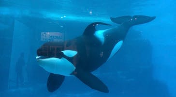 名古屋港水族館に投稿された画像（2025/8/12）