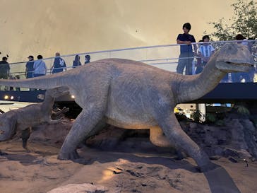 福井県立恐竜博物館に投稿された画像（2025/8/12）
