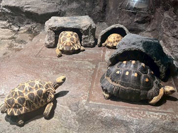 サンシャイン水族館に投稿された画像（2025/8/12）