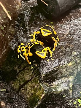 サンシャイン水族館に投稿された画像（2025/8/12）
