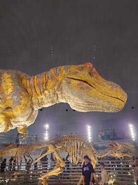 福井県立恐竜博物館に投稿された画像（2025/8/12）