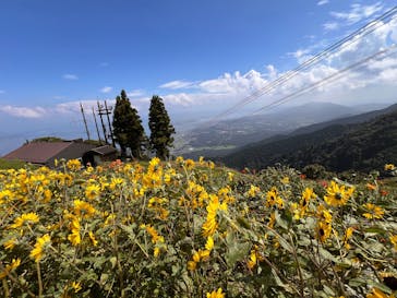 びわ湖バレイに投稿された画像（2025/8/12）