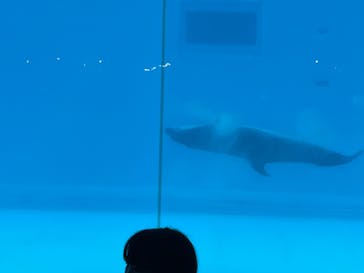 マリンワールド海の中道に投稿された画像（2025/8/12）