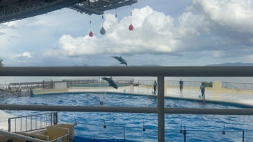 マリンワールド海の中道に投稿された画像（2025/8/12）