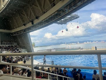 マリンワールド海の中道に投稿された画像（2025/8/12）