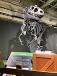 大恐竜展に投稿された画像（2025/8/12）