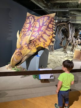 大恐竜展に投稿された画像（2025/8/12）