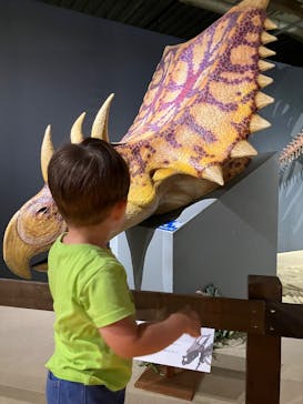 大恐竜展に投稿された画像（2025/8/12）