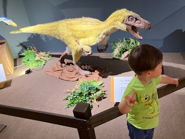 大恐竜展に投稿された画像（2025/8/12）