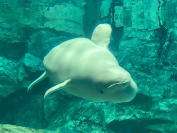 名古屋港水族館に投稿された画像（2025/8/12）