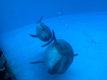 名古屋港水族館に投稿された画像（2025/8/12）