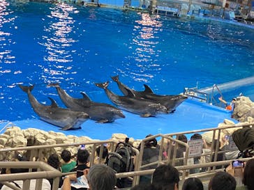 名古屋港水族館に投稿された画像（2025/8/12）