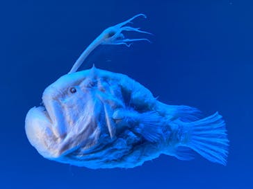 名古屋港水族館に投稿された画像（2025/8/12）