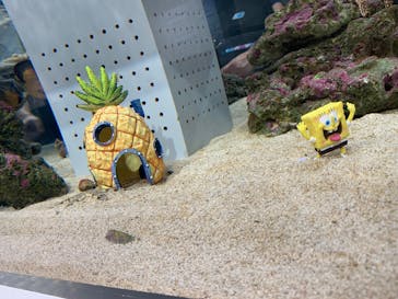 AOAO SAPPOROに投稿された画像（2025/8/12）