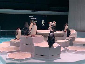 AOAO SAPPOROに投稿された画像（2025/8/12）