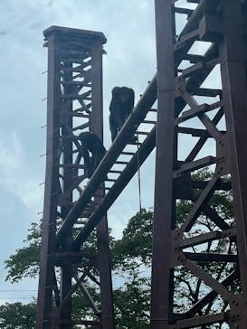 阿蘇カドリー・ドミニオンに投稿された画像（2025/8/12）