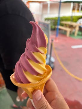 白浜エネルギーランドに投稿された画像（2025/8/12）