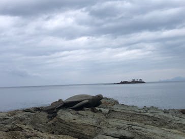 城崎マリンワールドに投稿された画像（2025/8/12）