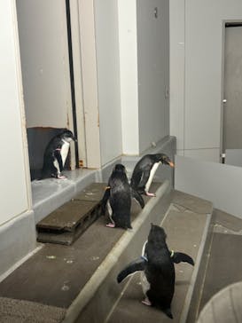 AOAO SAPPOROに投稿された画像（2025/8/12）