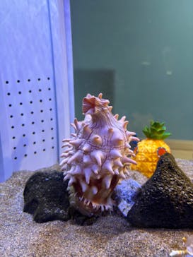 AOAO SAPPOROに投稿された画像（2025/8/12）