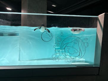 AOAO SAPPOROに投稿された画像（2025/8/12）