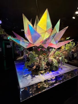 NARA KINGYO MUSEUMに投稿された画像（2025/8/12）