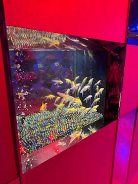 NARA KINGYO MUSEUMに投稿された画像（2025/8/12）