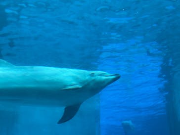 名古屋港水族館に投稿された画像（2025/8/12）