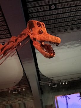 巨大恐竜展2025に投稿された画像（2025/8/12）