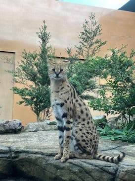 那須どうぶつ王国に投稿された画像（2025/8/12）