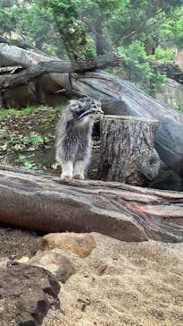 那須どうぶつ王国に投稿された画像（2025/8/12）