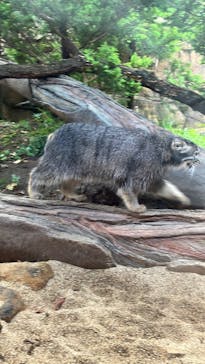 那須どうぶつ王国に投稿された画像（2025/8/12）