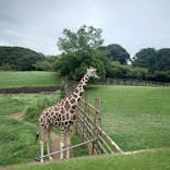 千葉市動物公園に投稿された画像（2025/8/12）
