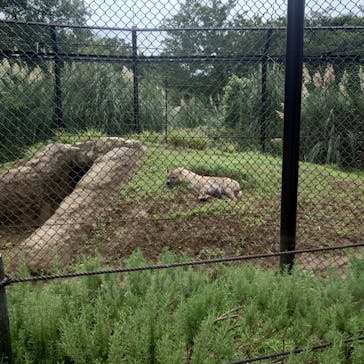 千葉市動物公園に投稿された画像（2025/8/12）