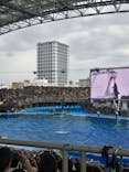 名古屋港水族館に投稿された画像（2025/8/12）