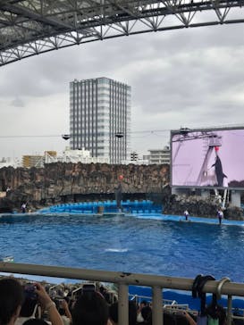 名古屋港水族館に投稿された画像（2025/8/12）