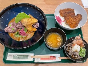 福井県立恐竜博物館に投稿された画像（2025/8/12）