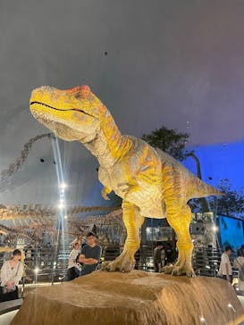 福井県立恐竜博物館に投稿された画像（2025/8/12）