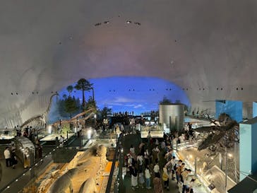 福井県立恐竜博物館に投稿された画像（2025/8/12）