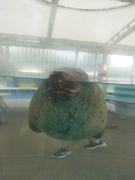 京都水族館に投稿された画像（2025/8/12）