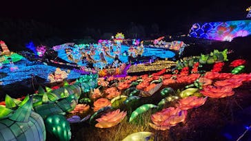 伊豆高原グランイルミに投稿された画像（2025/8/12）