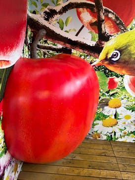 鈴鹿サーキットに投稿された画像（2025/8/12）