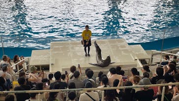 アクアワールド茨城県大洗水族館に投稿された画像（2025/8/12）