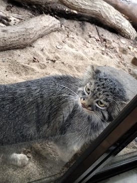 那須どうぶつ王国に投稿された画像（2025/8/12）