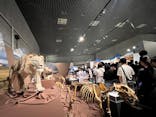 特別展「氷河期展 〜人類が見た4万年前の世界〜」（国立科学博物館）に投稿された画像（2025/8/12）