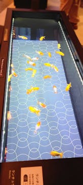 すみだ水族館に投稿された画像（2025/8/12）