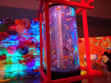 錦鯉・金魚アクアリウム in ときメッセに投稿された画像（2025/8/12）