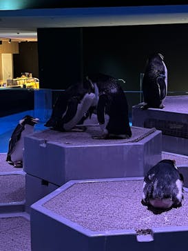 AOAO SAPPOROに投稿された画像（2025/8/12）