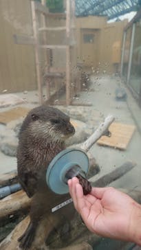 横浜・八景島シーパラダイスに投稿された画像（2025/8/12）